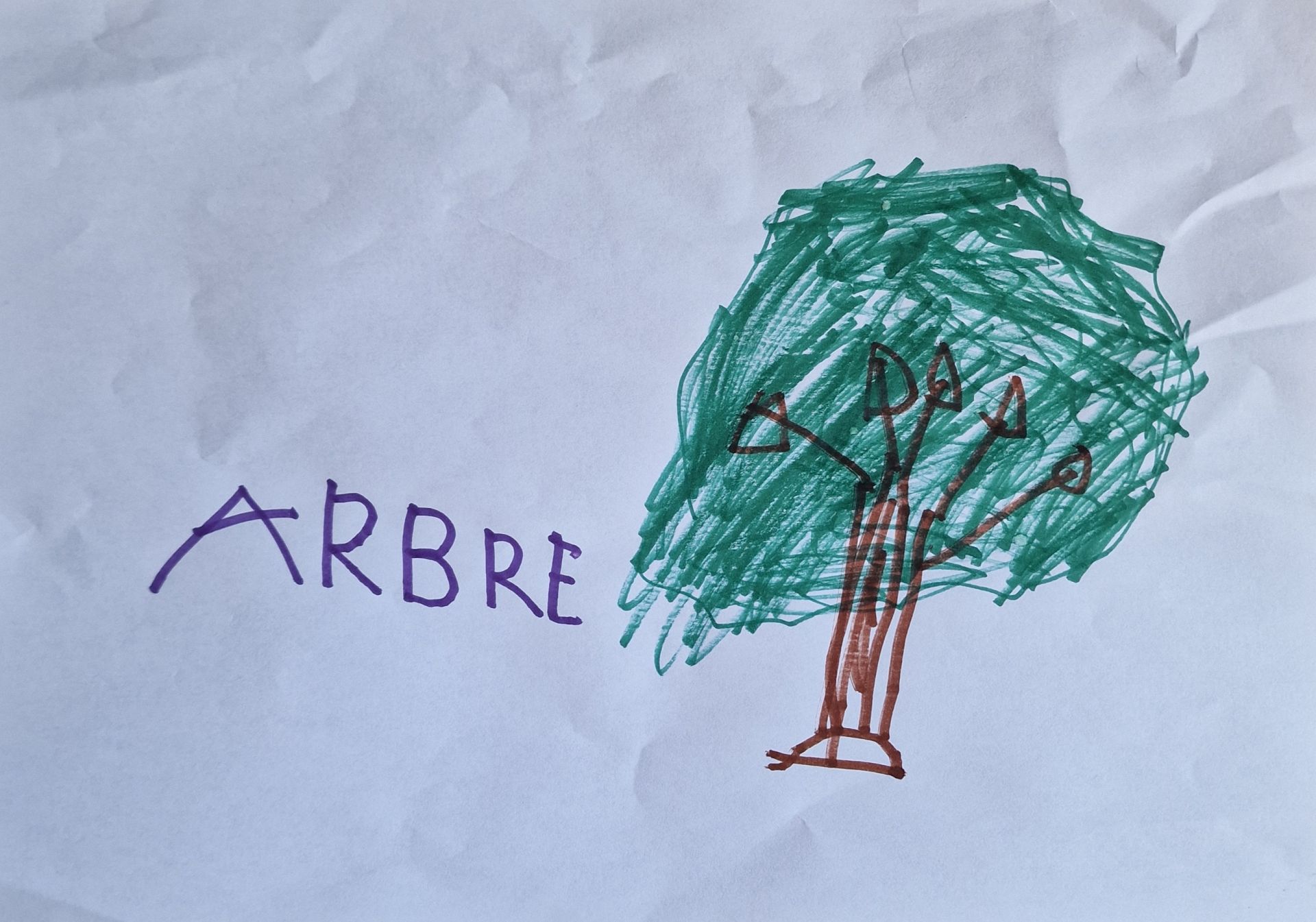 Léonard et ses dessins